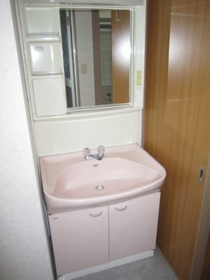 Washroom. Independent wash basin