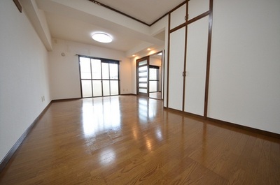 Living and room. Wide flooring