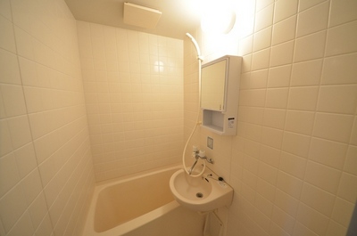 Washroom. There mirror