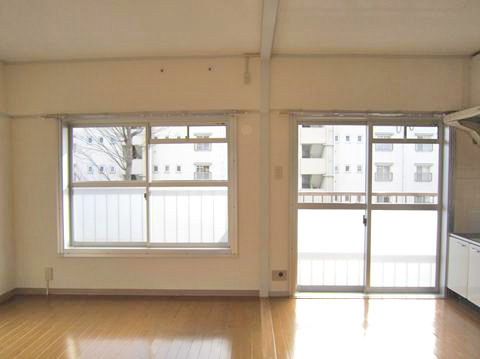 Living and room. South-facing bright DK