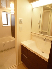 Washroom. Wash basin