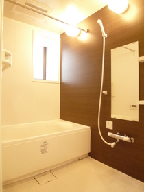 Bath. Wide bathroom! Add-fired and with dryer