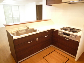 Kitchen. Face-to-face is the kitchen