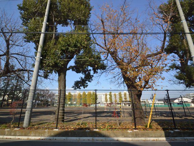 Junior high school. 1300m to the National first junior high school
