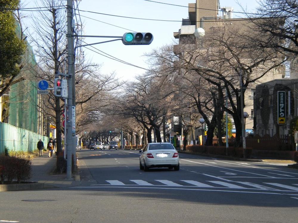 Other. Sakura Street