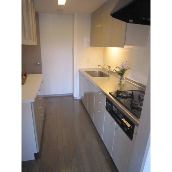 Kitchen. System kitchen