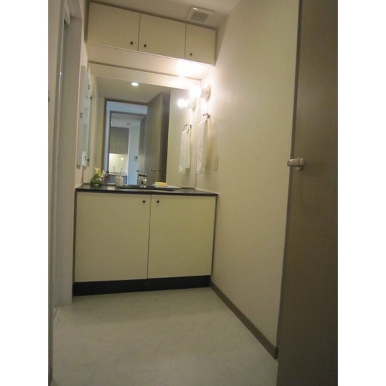 Washroom. Independent wash basin