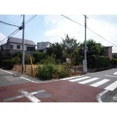 Local land photo. Local Photo 1