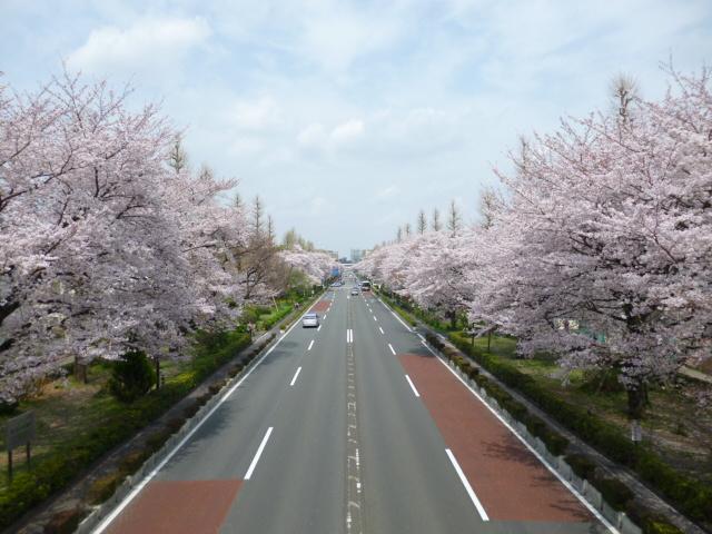 Other. Street University