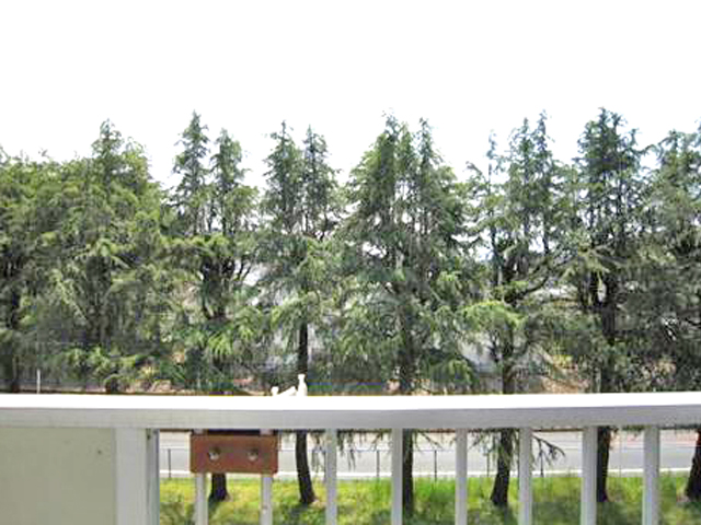 View. The view from the veranda