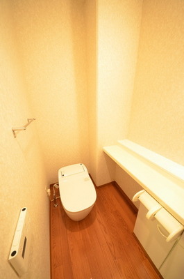 Toilet. ☆ Clean toilet ☆