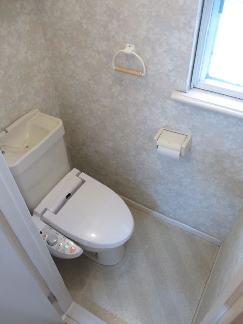 Toilet. Toilet space