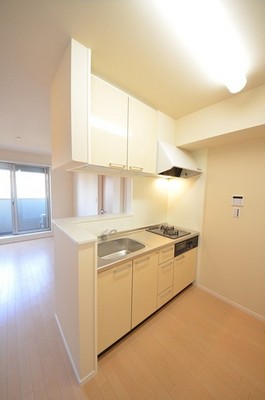 Kitchen. Stylish counter kitchen