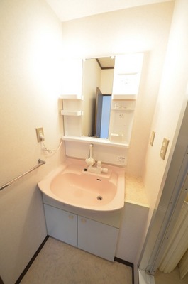 Washroom. Beautiful independent wash basin