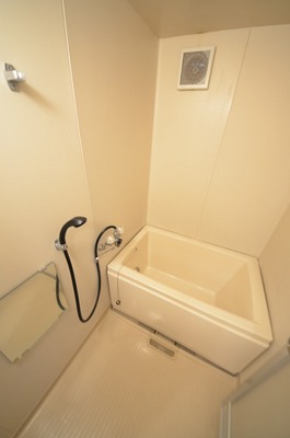 Bath. Spacious reheating bathroom