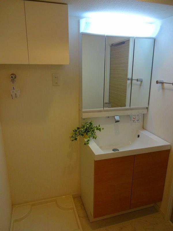Wash basin, toilet. Bathroom vanity