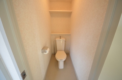 Toilet. ☆ Clean toilet ☆