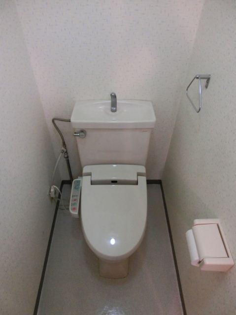 Toilet. Independent wash basin