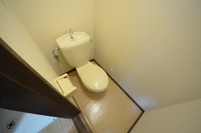 Toilet. ☆ Loose your toilet ☆