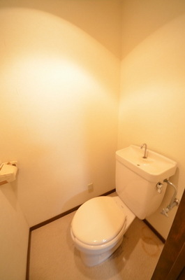 Toilet. Clean toilet