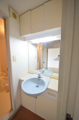 Washroom. Charm of independent wash undressing room