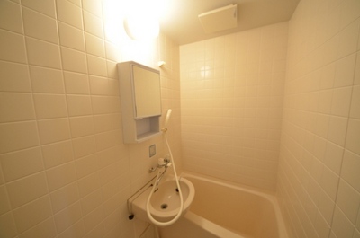 Washroom. There mirror