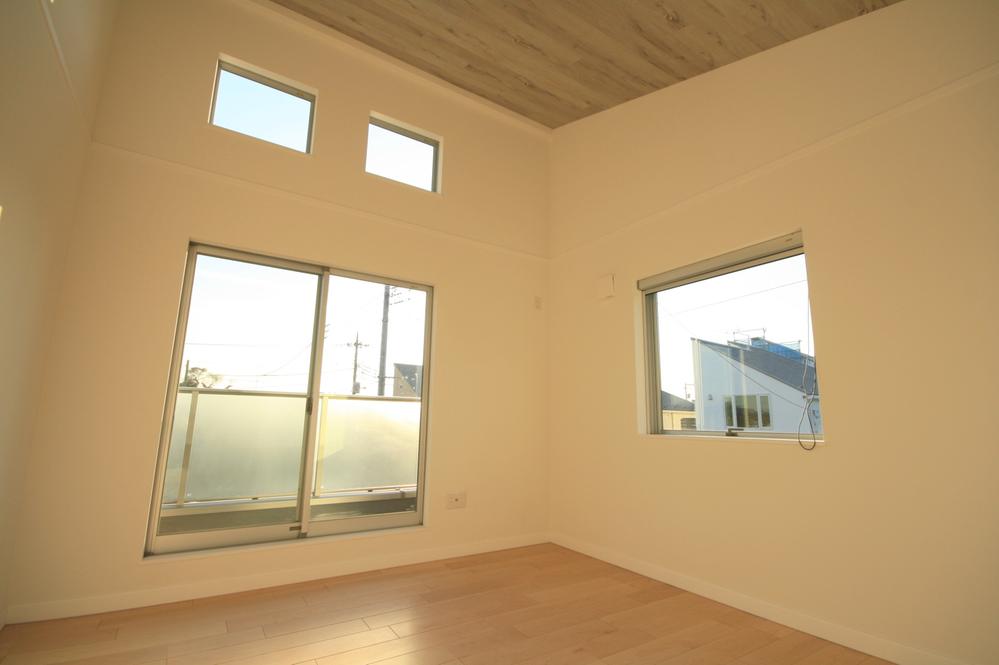 Other introspection. Local shooting