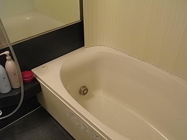Bathroom. Indoor (10 May 2013) Shooting