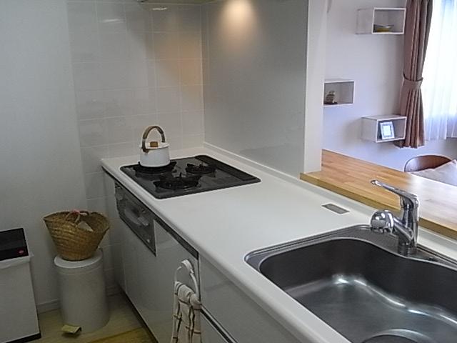 Kitchen. Indoor (10 May 2013) Shooting