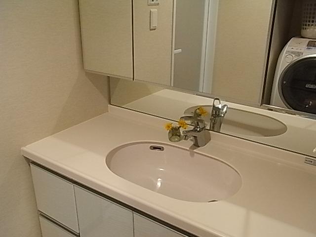 Wash basin, toilet. Indoor (10 May 2013) Shooting