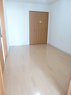 Living and room. Shiny