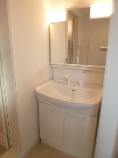 Washroom. Spree shampoo