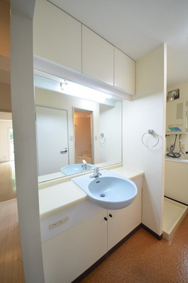 Washroom. Cute independent wash basin