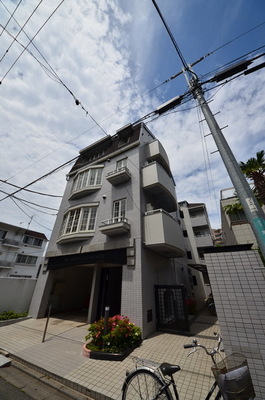 Building appearance. Designer's Mansion