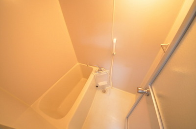 Bath. Spacious bathroom