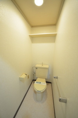 Toilet.  ☆ Clean toilet ☆