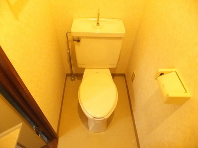Toilet. Toilet