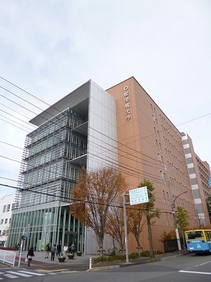 Other. 550m to JF Oberlin University (Other)