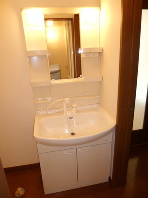 Washroom. ☆ Independence is a wash basin ☆