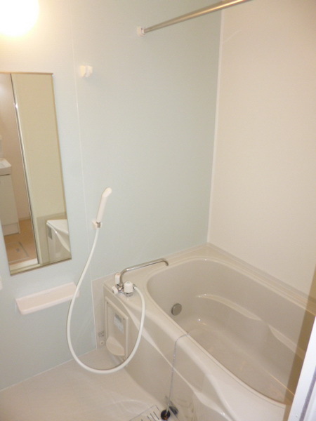 Bath.  With mirror of the bath