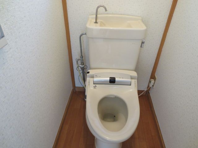 Toilet. Beautiful toilet. 