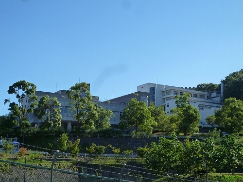 Other. 1900m until the Tama Art University (Other)