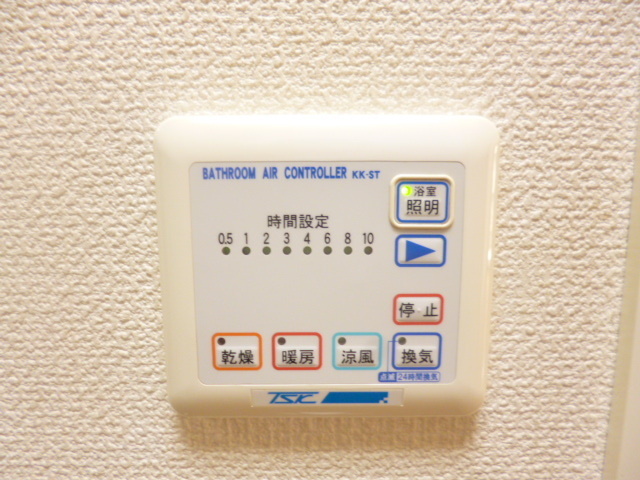 Other. It comes with a bathroom dryer