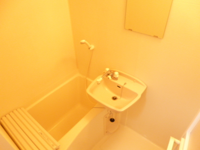 Bath. Spacious bathroom