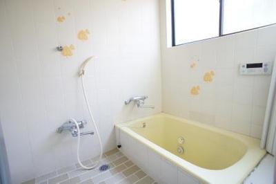 Bath. Spacious comfortable have To'll spend healing bathroom