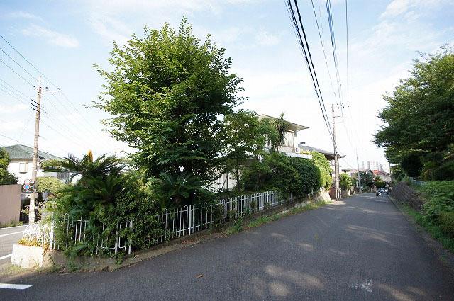 Local land photo. Local (10 May 2013) Shooting