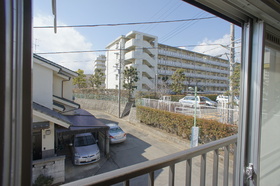 View. The view from the room (south-facing)