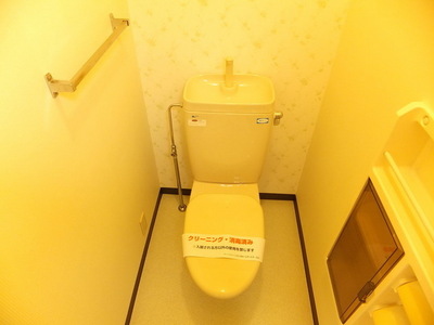 Toilet. ☆ Also comes housed in a toilet ☆