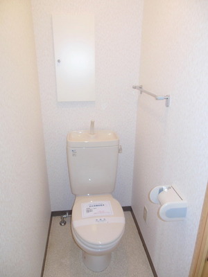 Toilet. Toilet space