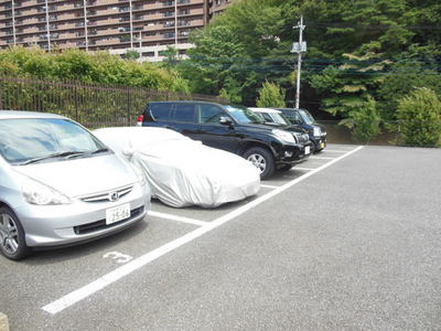 Parking lot. Parking Space